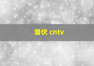 潜伏 cntv